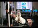 Incline Bench Press