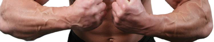 forearms exercise