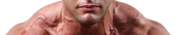 best traps exercises
