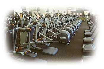 Best Cardio Machines at the Gym