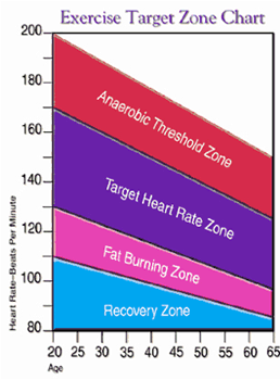 Fat Burning Zone