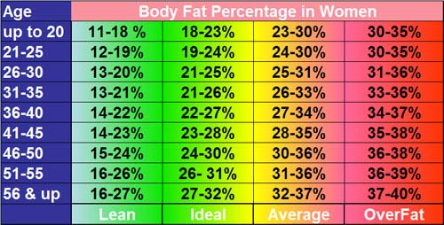 Woman S Body Fat Chart