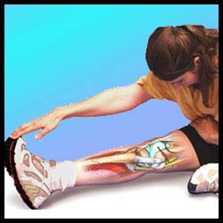 Flexibility Specialist Online Personal Trianers