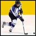 Hockey Online personal Training with Dan Tatro