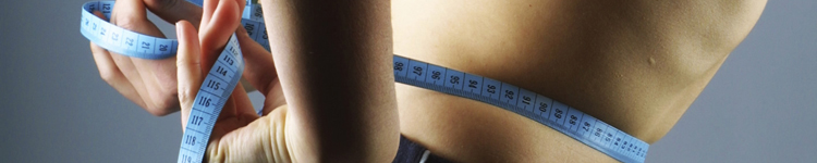average percent body fat