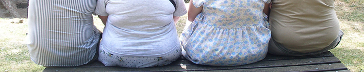 definition of percent body fat