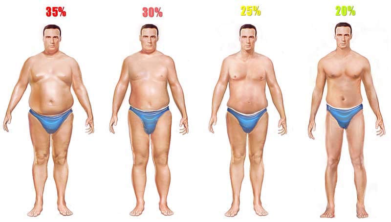 men-body-fat-high.jpg