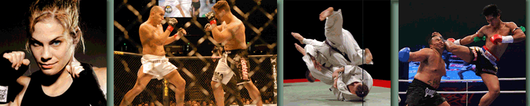 Mixed Martial Arts MMA Online Personal Trainers