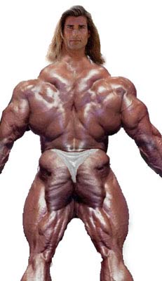 Fabio Wedge