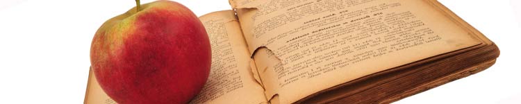nutrition myths