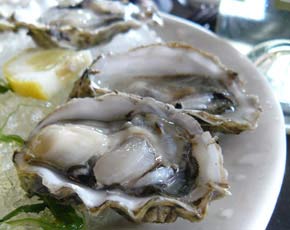 Oysters are an Aphrodisiac?