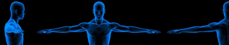 rotator cuff 