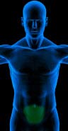 6ack lower abdominal exercise workout videos