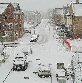 Snowed In