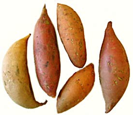 sweet potatoes yams eat every day nutrition