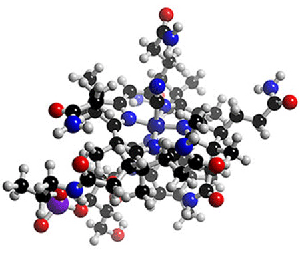 Biochemistry of Muscle Building supplements