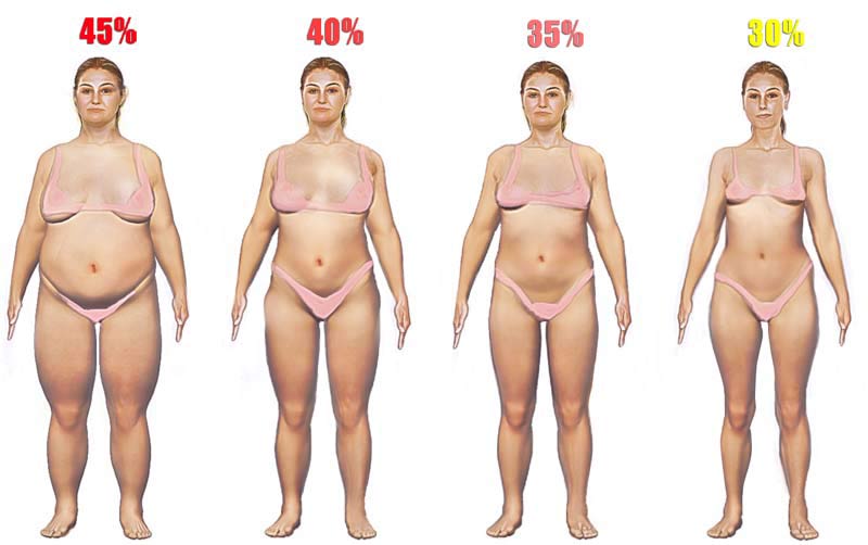 women-body-fat-high.jpg
