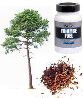 Yohimbe Supplement for Libido