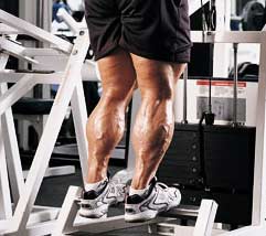 Best Calf Exercises - Exercise Tips to Build Strong Calve Muscles
