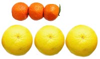 Body Fat versus Muscle Fruit Analogy