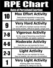 personal trainer forms cpt forms charts consultation assessment