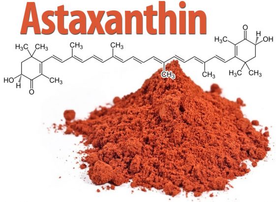 10 Surprising Health Benefits Of Astaxanthin 